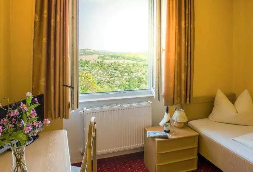 Standard Single Room, Flair Hotel Villa Ilske