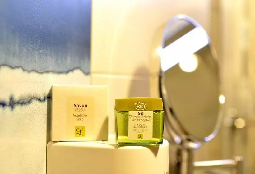 スタンダードシングルルーム, Le Bois Dormant Hôtel Restaurant & Spa Logis Hôtel