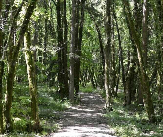 Номер Стандарт Индивидуальный, Le Bois Dormant Hôtel Restaurant & Spa Logis Hôtel