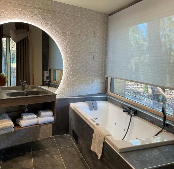 Люкс, Le Bois Dormant Hôtel Restaurant & Spa Logis Hôtel