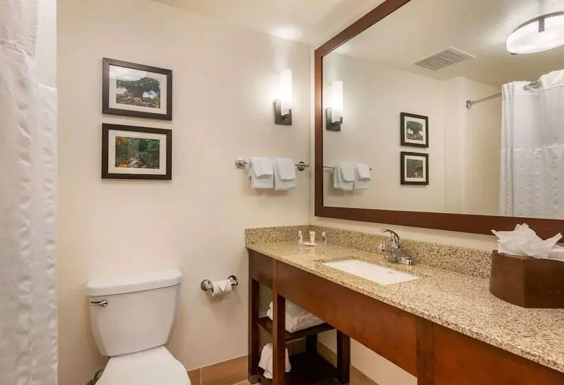 スイート, Comfort Suites Downtown