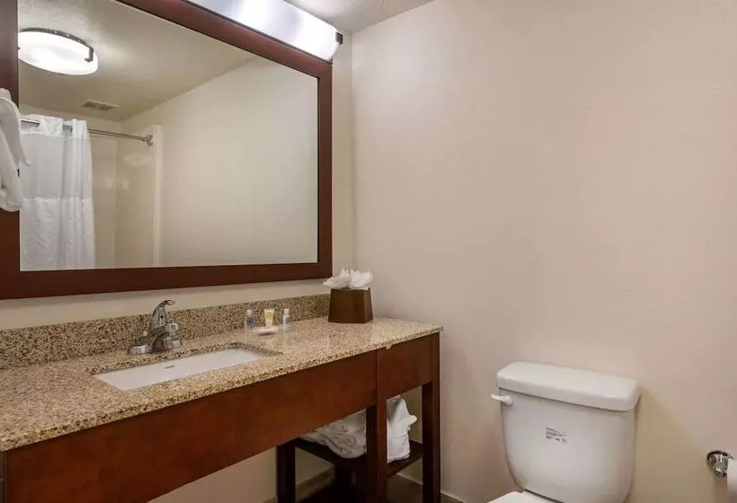 スイート, Comfort Suites Downtown