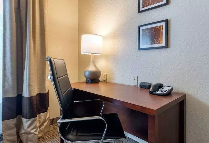 スイート, Comfort Suites Downtown