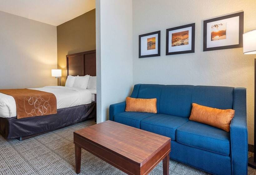 스위트, Comfort Suites Downtown