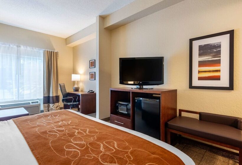 Suíte, Comfort Suites Downtown