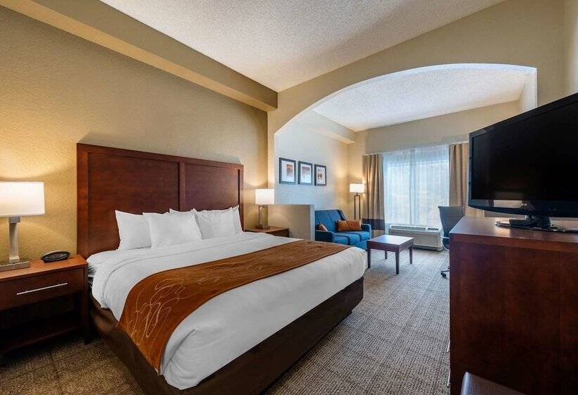 스위트, Comfort Suites Downtown