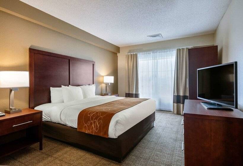 스위트, Comfort Suites Downtown