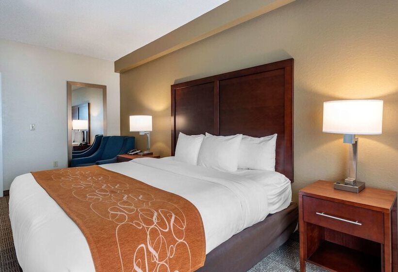 스위트, Comfort Suites Downtown