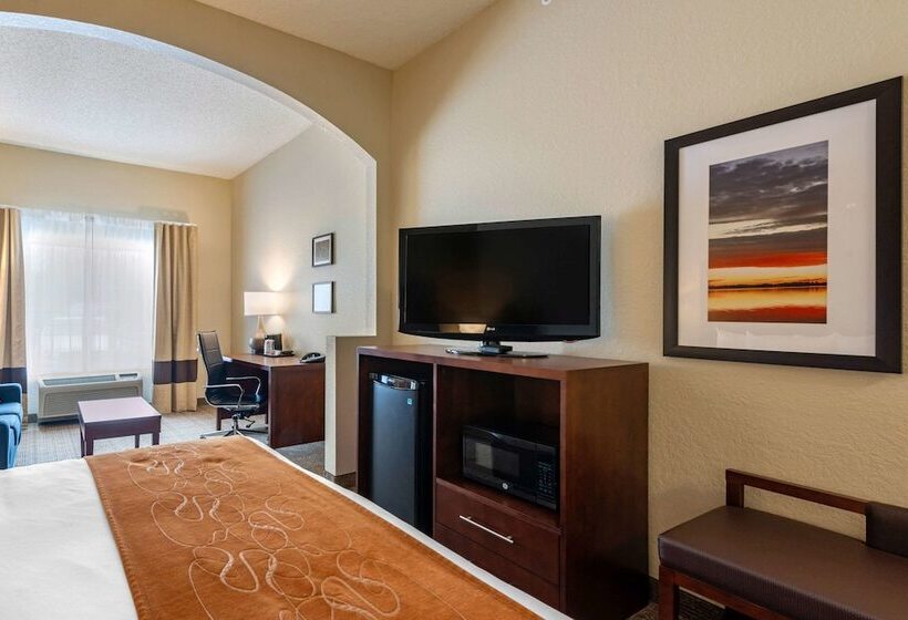 스위트, Comfort Suites Downtown