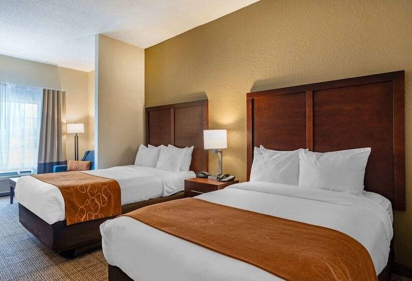 套房, Comfort Suites Downtown