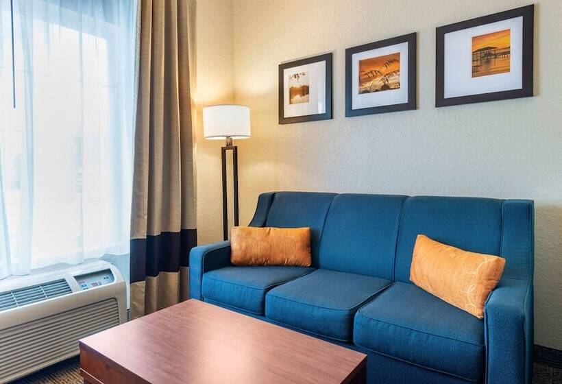 스위트, Comfort Suites Downtown