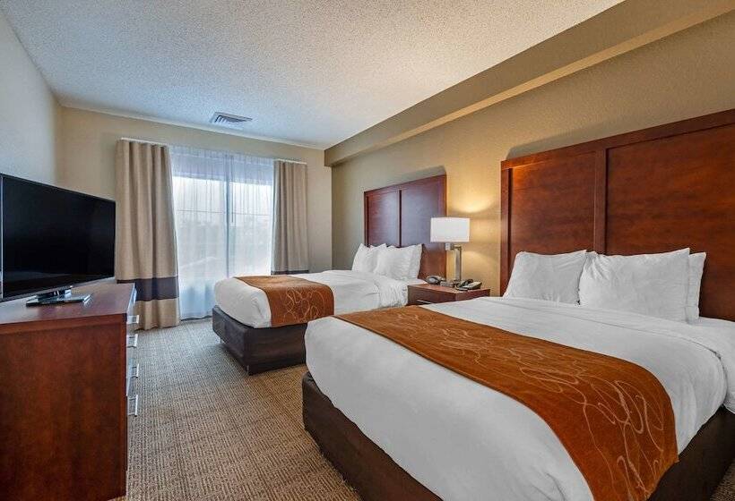 Suíte, Comfort Suites Downtown