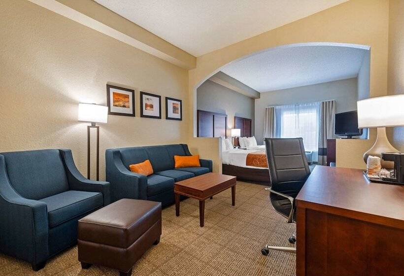 스위트, Comfort Suites Downtown