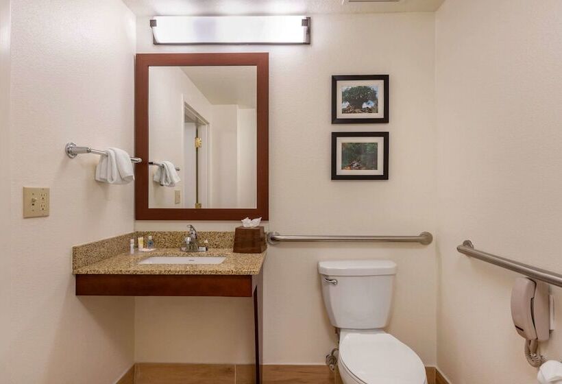 스위트, Comfort Suites Downtown