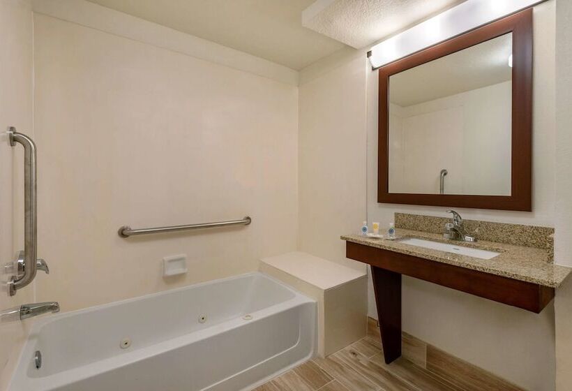 스위트, Comfort Suites Downtown