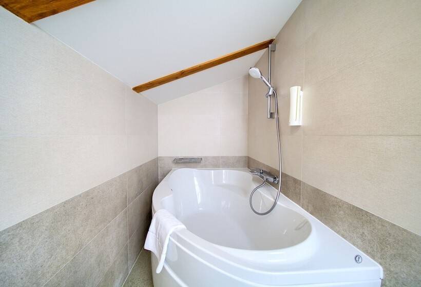 شقة غرفة واحدة, Kanajt