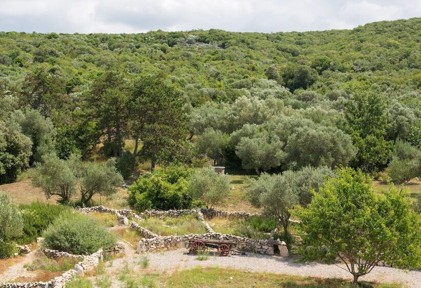 شقة غرفة واحدة, Kanajt