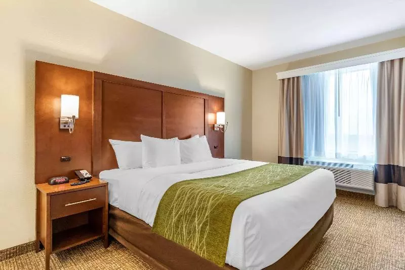 スーペリアールーム, Qoya Hotel Curitiba, Curio Collection By Hilton