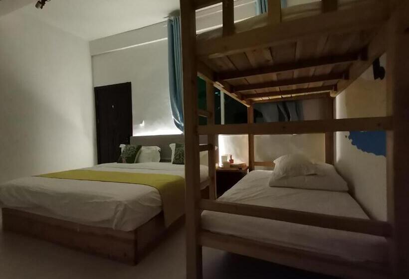Camera Familiare, Tulou Panda Homestay