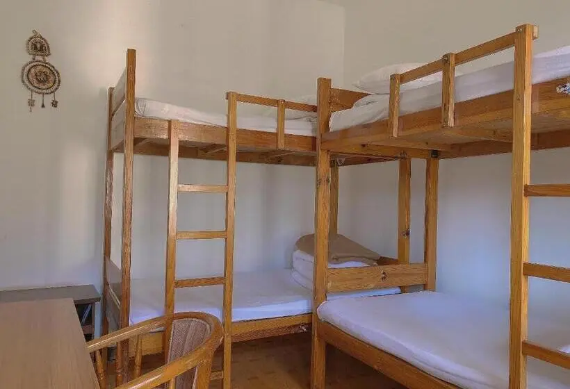ルームシェアのワンベッド, Stone Forest Mijia Guest House