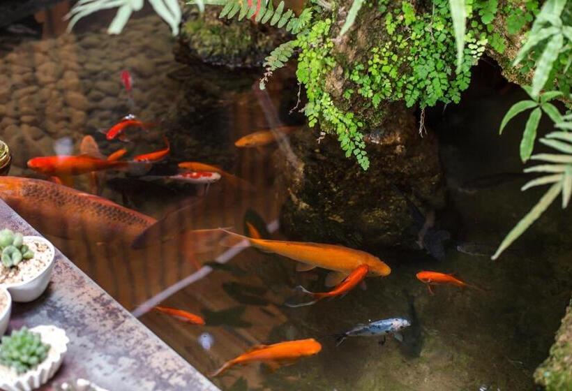패밀리 방갈로, Stone Forest Mijia Guest House