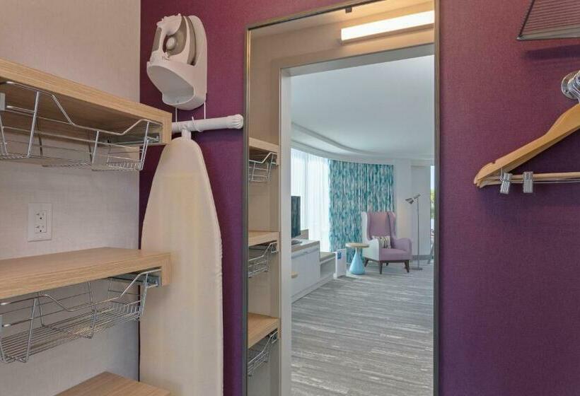 غرفة قياسية سرير كينج لذوى الإحتياجات الخاصة, Hilton Garden Inn Boston Brookline, Ma