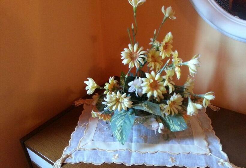 اتاق استاندارد, B&b Night & Day