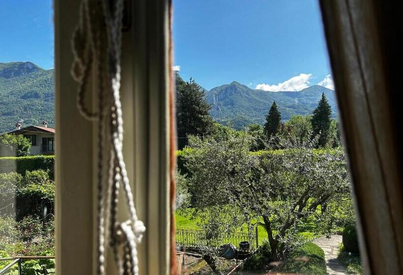 小型套房, Wirnica