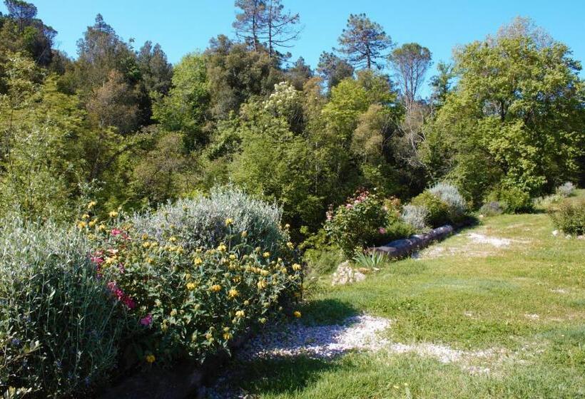 Дом 1 Спальня, Mulino Della Rivolta