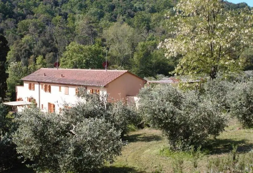 １ベッドルームハウス, Mulino Della Rivolta