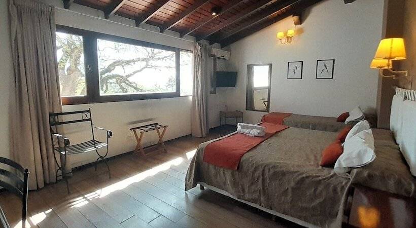 수피리어 룸, Selva Montana