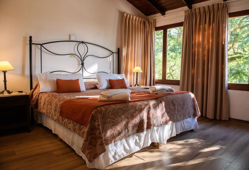 클래식 룸, Selva Montana