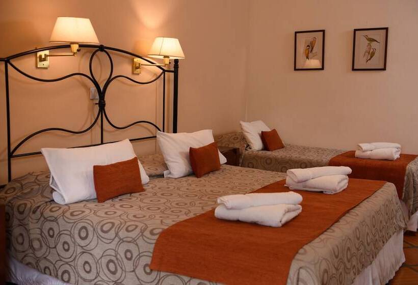 수피리어 룸 산전망, Selva Montana