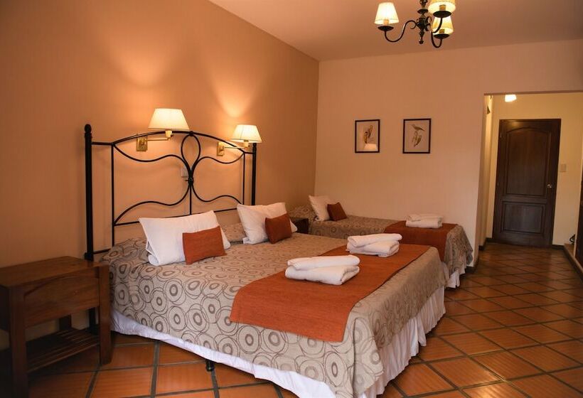 اتاق سوپریور با چشمانداز کوهستان, Selva Montana