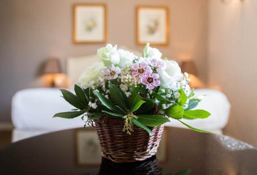 수피리어 룸, Du Midi