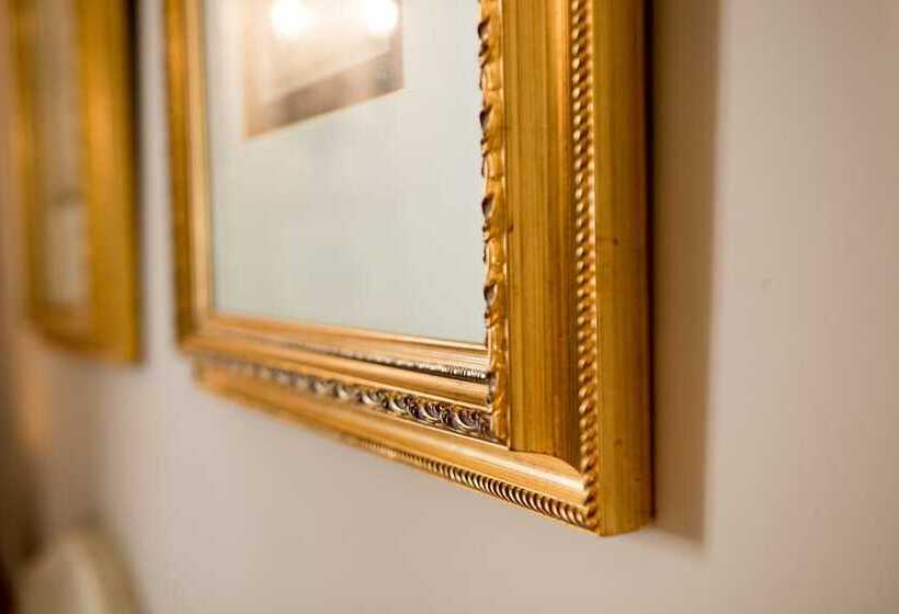 Номер Стандарт, Du Midi