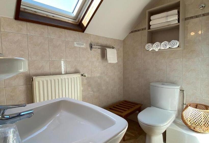 غرفة قياسية, Logis La Chaumiere Saintmaurice