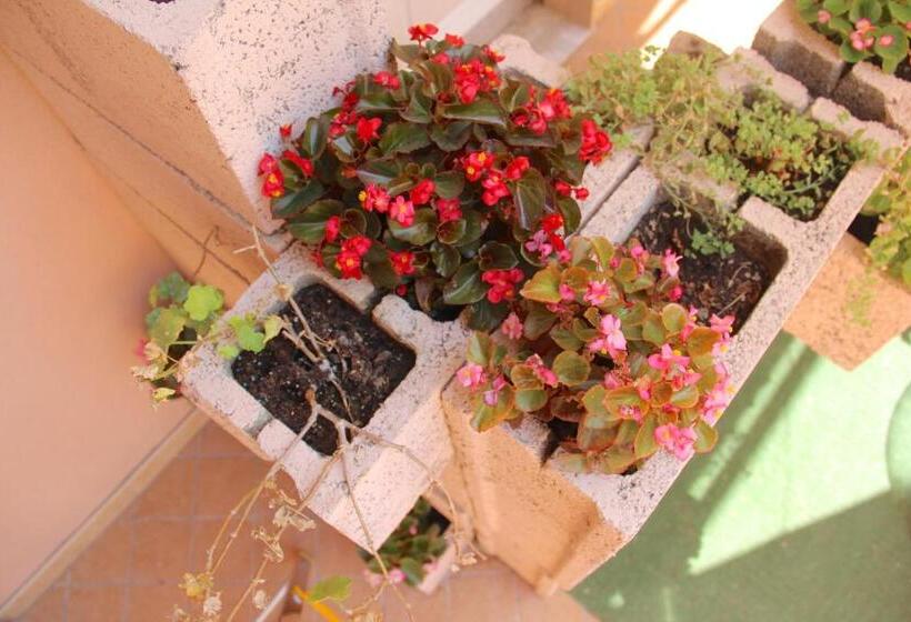 اتاق استاندارد با تراس, Be Inn