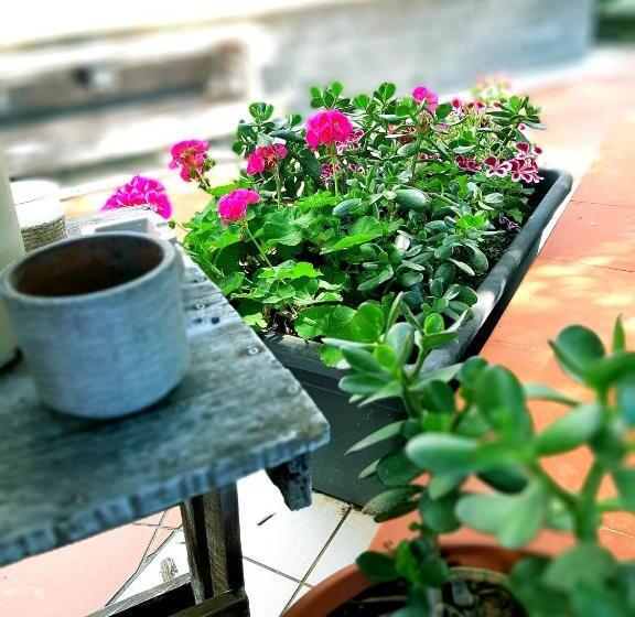 חדר סטנדרט לשלושה, Grotta Dei Puntali B&b