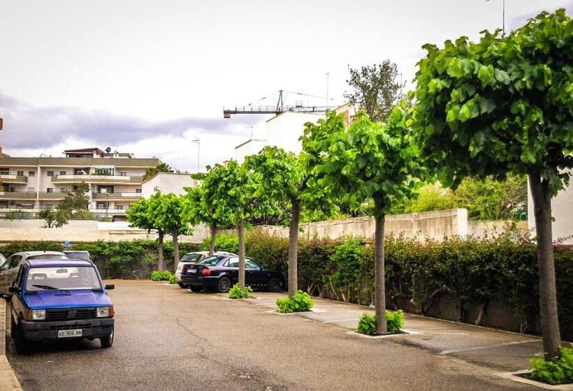 スタンダードルーム, La Rosa Di Rebecca