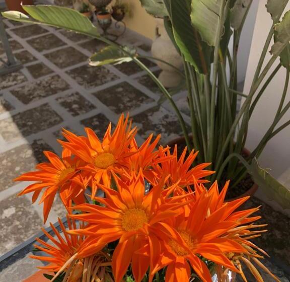 חדר סטנדרט, Corte La Rosa