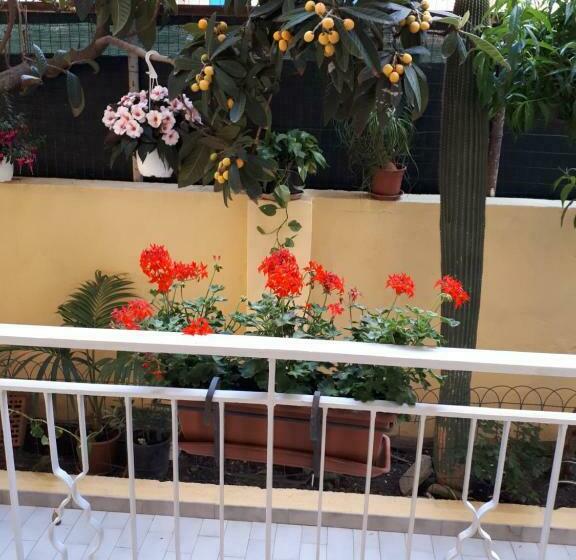 Номер Стандарт с Террасой, La Riviera