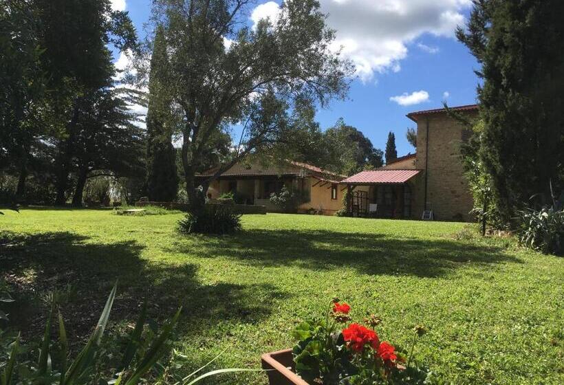 Апартаменты 1 Спальня Нижний Этаж, Agriturismo Il Nazareno