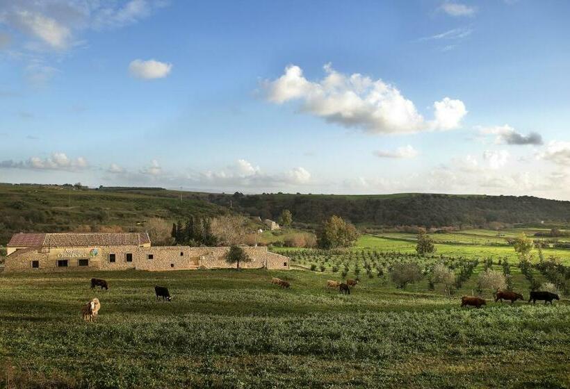 Номер Стандарт, Agriturcostabaira