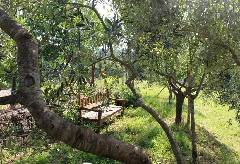 Standard room with outdoor bath, Agriturismo Angio Nel Cere