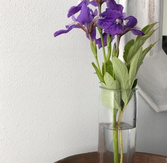 غرفة قياسية, Belcasale