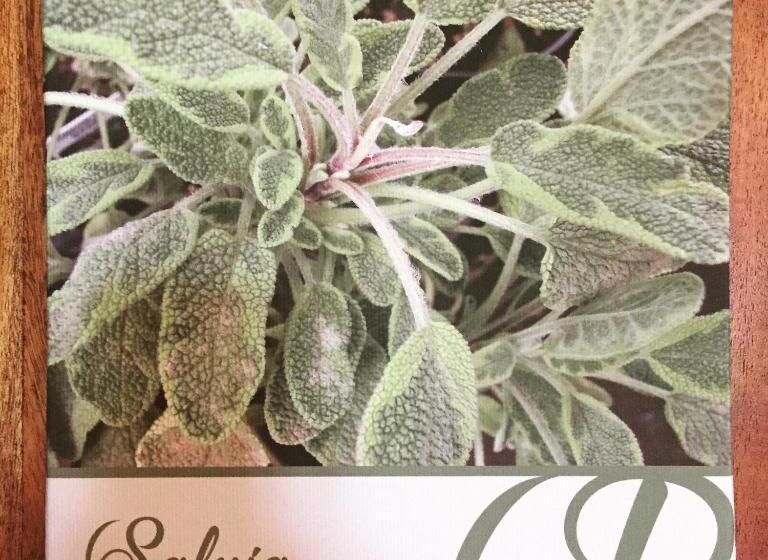 غرفة قياسية, Belcasale