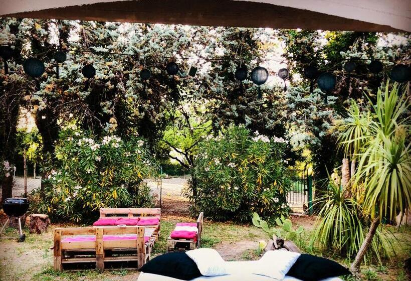 غرفة قياسية, Meravilla