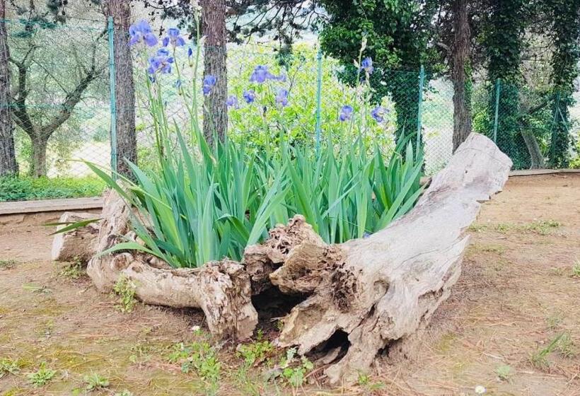 غرفة رباعية اقتصادية مع حمام مشترك, Meravilla