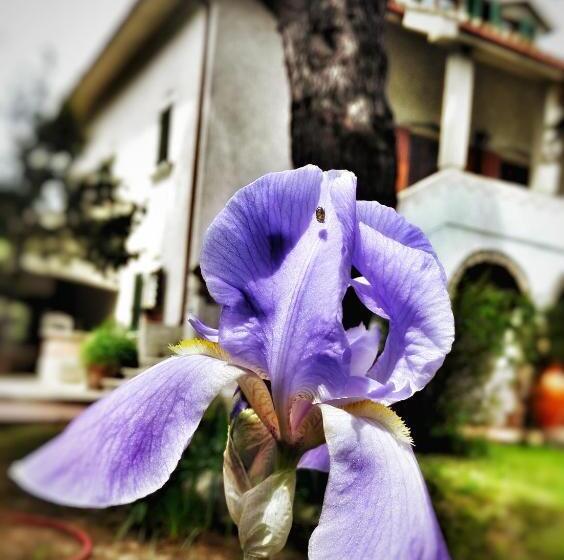 غرفة قياسية ثلاثية, Meravilla